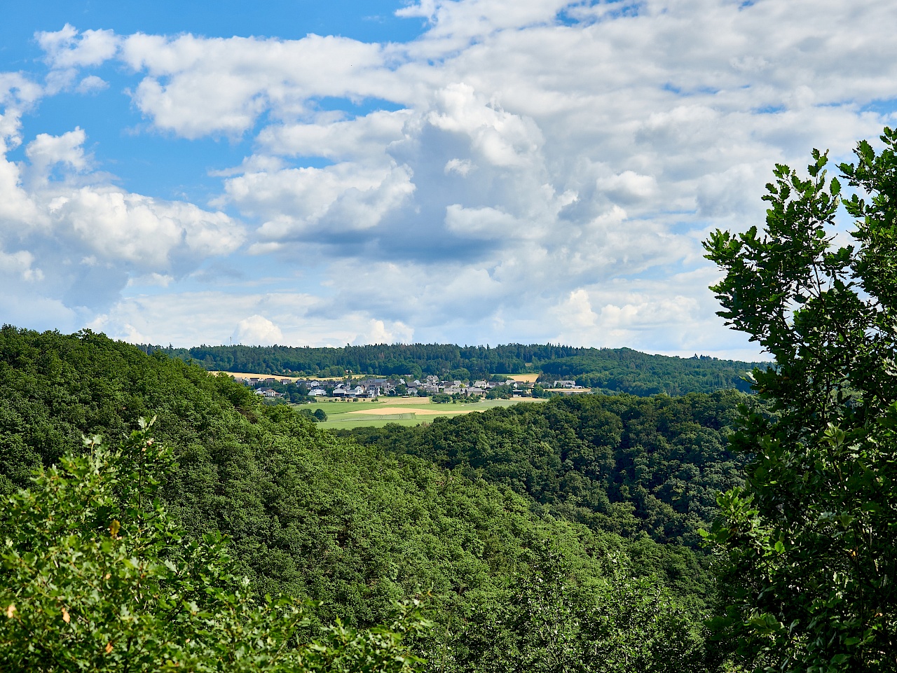 Ausblick auf den Hunsrück