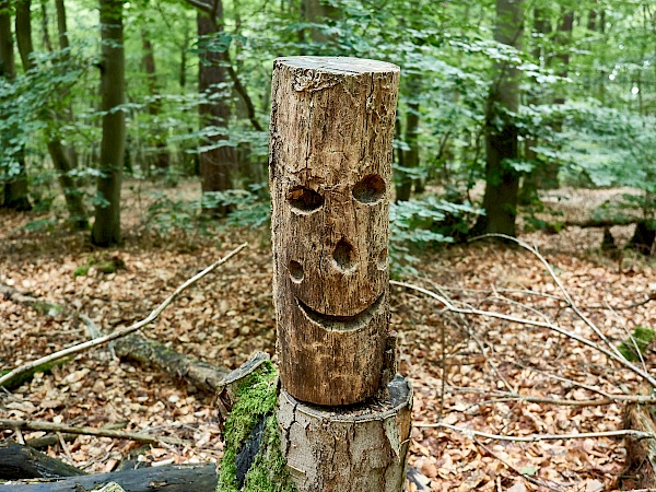 Kunst eines Waldkindergartens