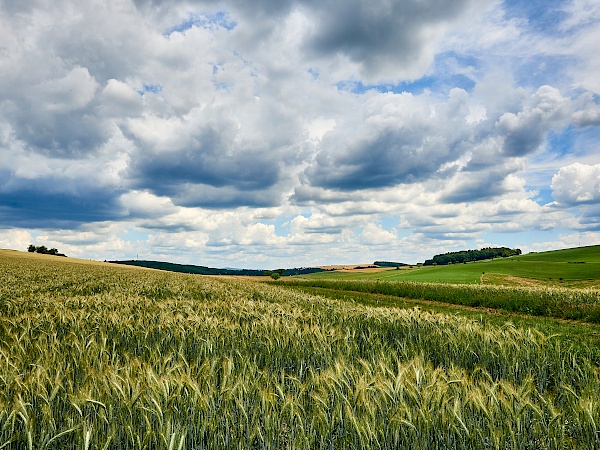 Weite genießen auf dem Mittelalterpfad