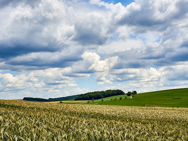 Weite genießen auf dem Mittelalterpfad