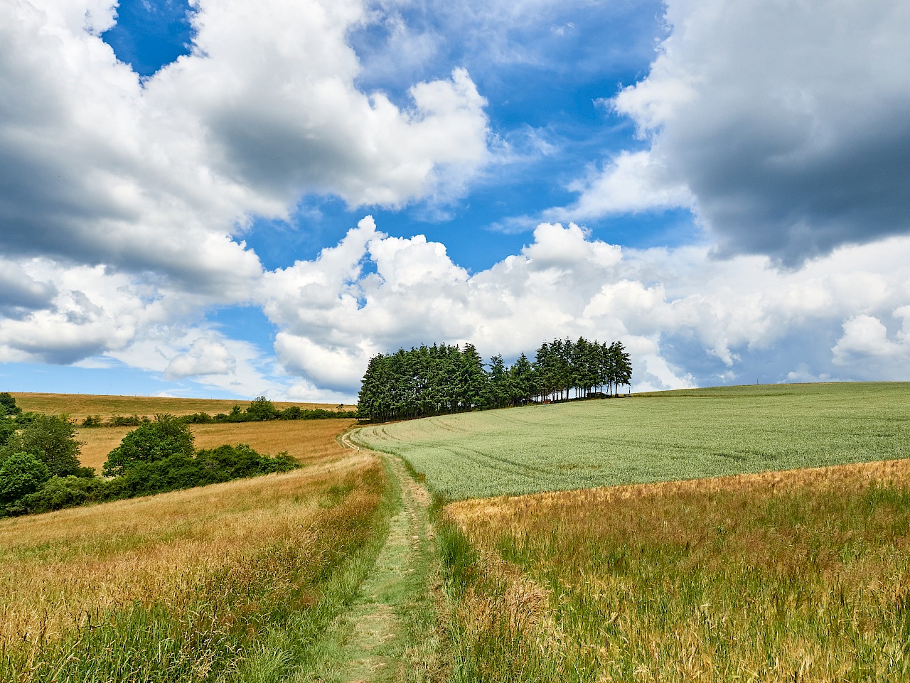 Wandern auf Feldwegen auf dem Mittelalterpfad