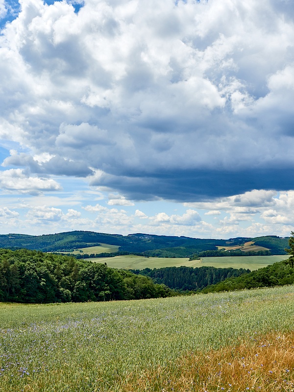 Die weite auf dem Mittelalterpfad genießen