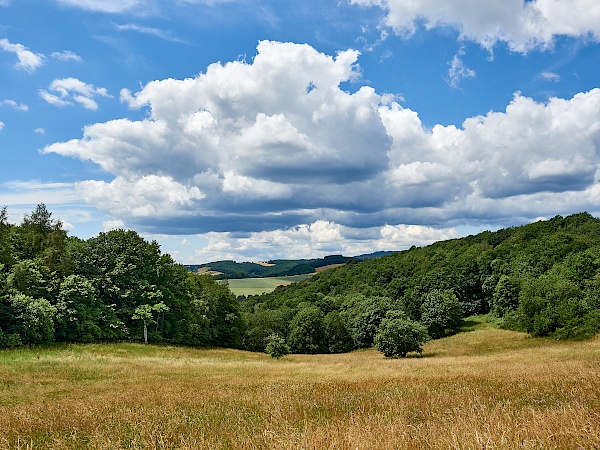 Aussichten auf die Hunsrücklandschaft