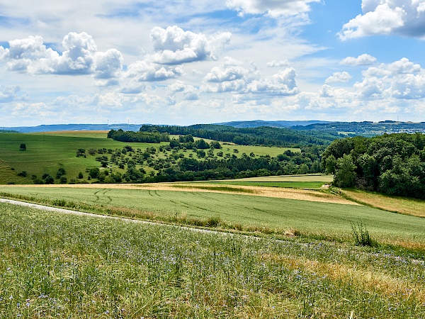 Blick auf die Hunsrücklandschaft auf dem Mittelalterpfad