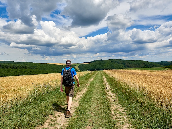 Wandern auf Feldweg auf dem Mittelalterpfad