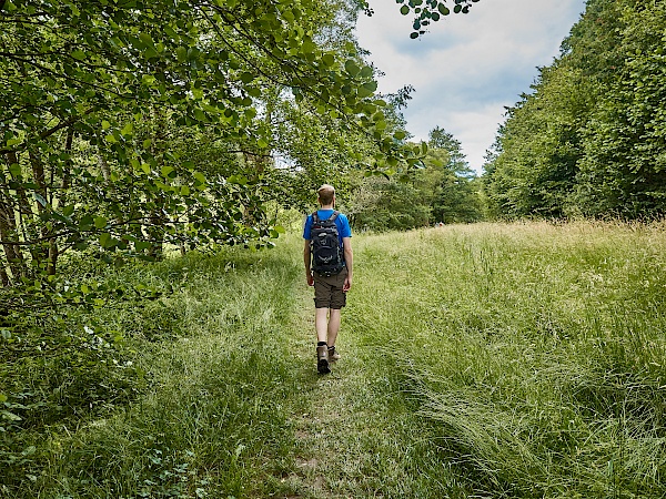 Wiesenabschnitt auf dem Mittelalterpfad