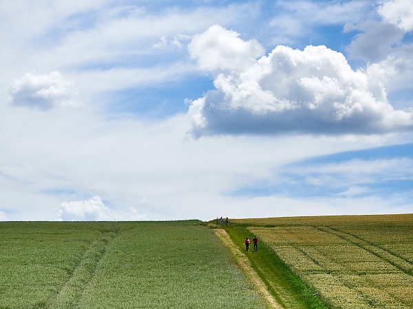 Die Weite der Felder auf der Wanderung genießen