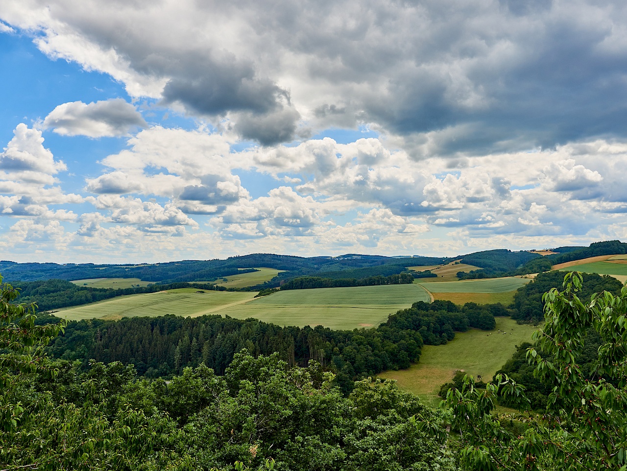 Blick vom Herrsteiner Aussichtsturm