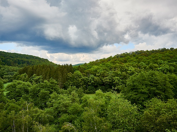 Aussicht auf die Landschaft und das Hahnenbachtal