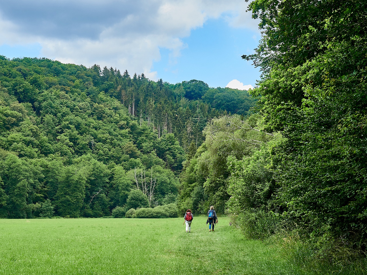 Unterwegs im Hahnenbachtal