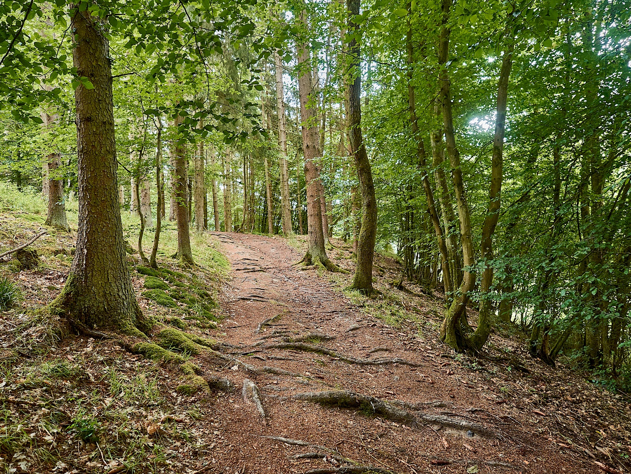 Wanderung bergauf zur Ruine Hellkirch