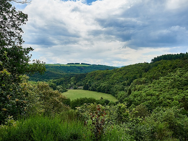 Blick auf das Hahnenbachtal von der Ruine Hellkirch