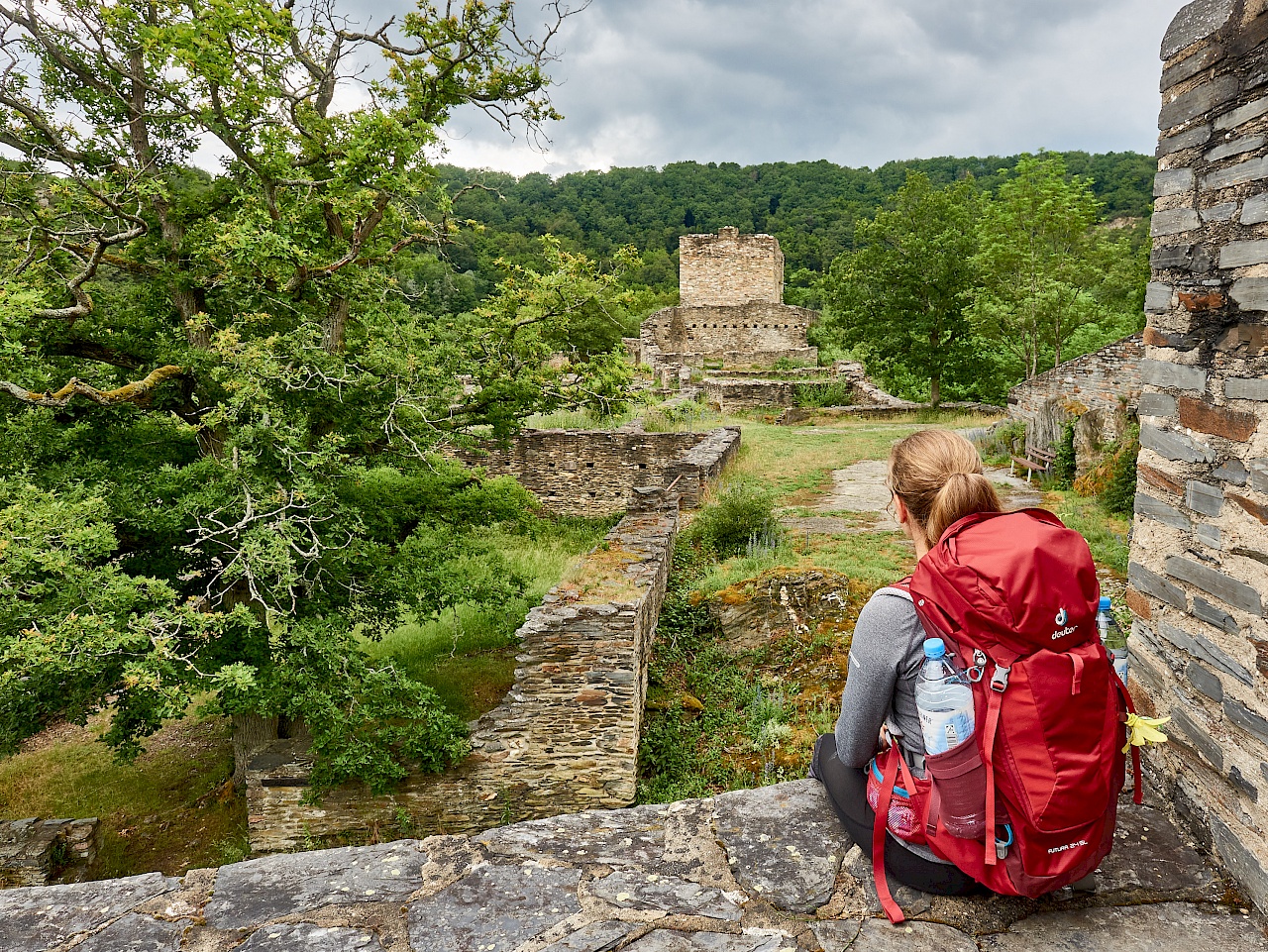 Blick auf die Ruine Schmidtburg