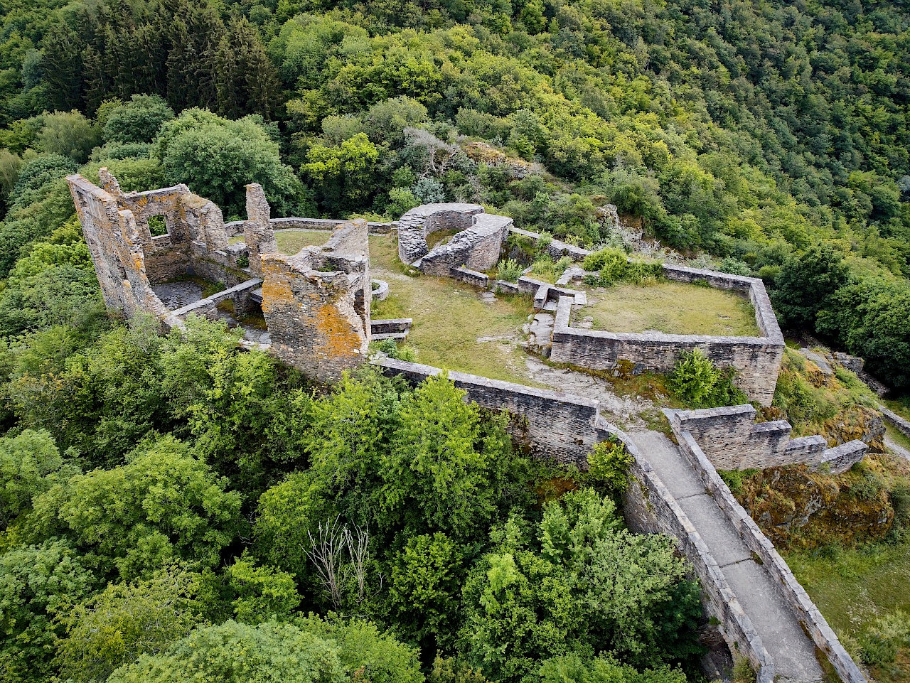 Blick auf die Ruine Schmidtburg