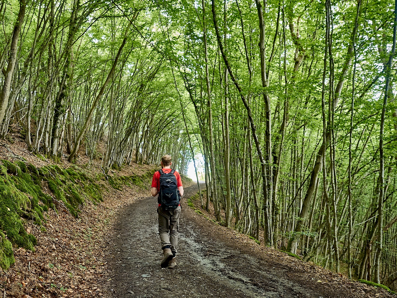 Bergauf zum Startpunkt der Wanderung auf der Hahnenbachtaltour