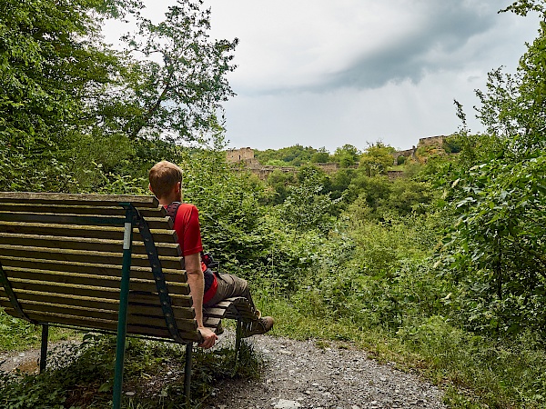 Panoramabank mit Blick auf die Schmidtburg