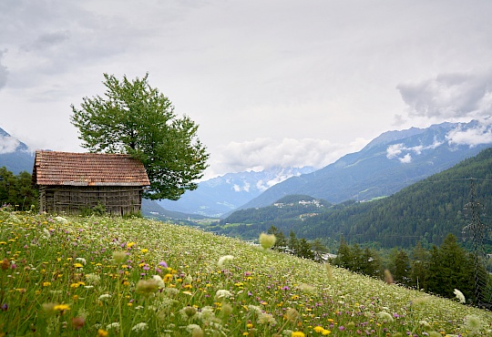 imst_starkenberger_panoramaweg_abschnitt_5-dsc00314.jpg