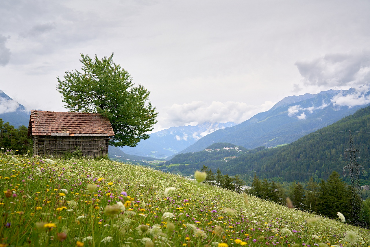 Starkenberger Panoramaweg mit Blick ins Tal