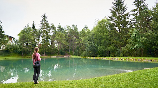 Starkenberger Panoramaweg - Badesee Hochimst