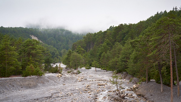 Starkenberger Panoramaweg - Schinderbach bei Hochimst