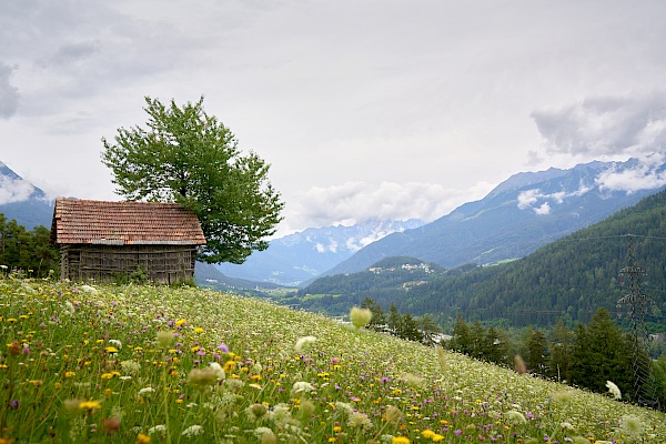 Starkenberger Panoramaweg - kurz vor der Taldurchquerung