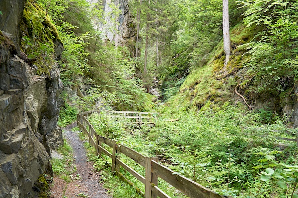 Starkenberger Panoramaweg - schöne Pfade nach Imsterberg