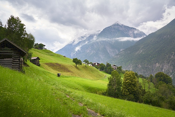 Starkenberger Panoramaweg - kurz vor Imsterberg