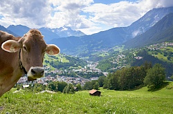 imst_starkenberger_panoramaweg_abschnitt_7-dsc00670.jpg