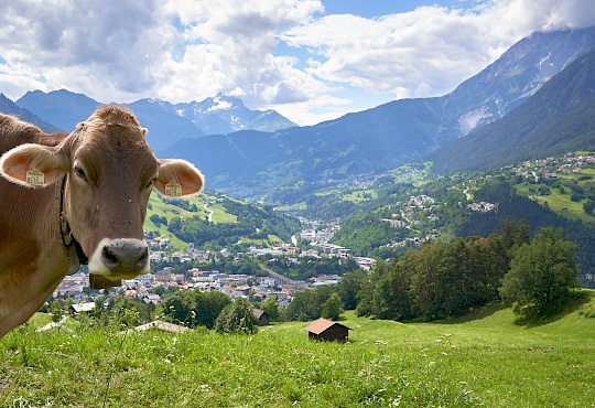 imst_starkenberger_panoramaweg_abschnitt_7-dsc00670.jpg