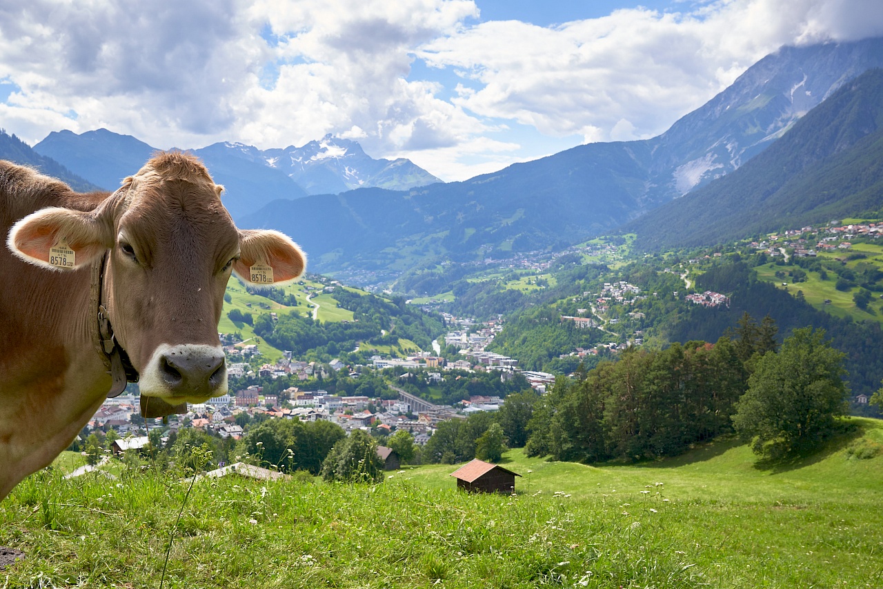 Starkenberger Panoramaweg - Blick auf Landeck