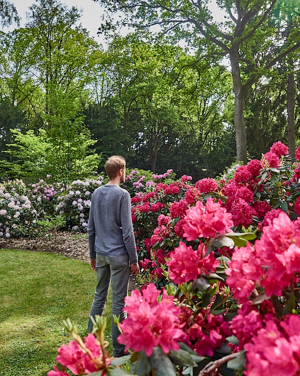 Blüte im Rhododendronpark in Bremen