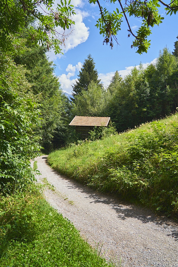 Starkenberger Panoramaweg - Abschnitt 7