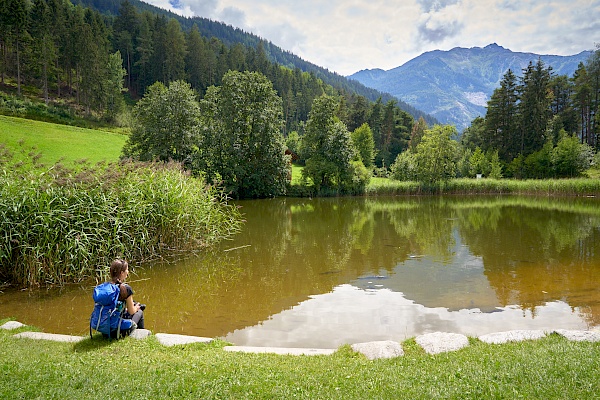 Starkenberger Panoramaweg - Tramser Weiher