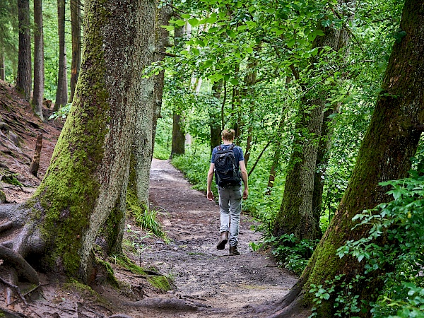 Traumhafter Waldabschnitt in der Schwarzachklamm