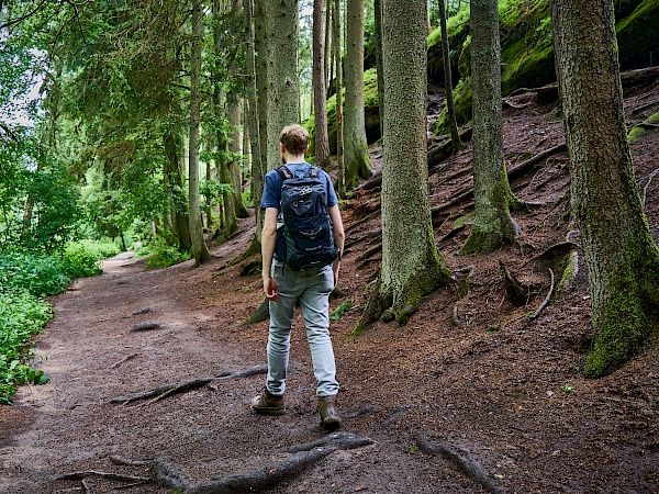 Traumhafter Waldabschnitt in der Schwarzachklamm