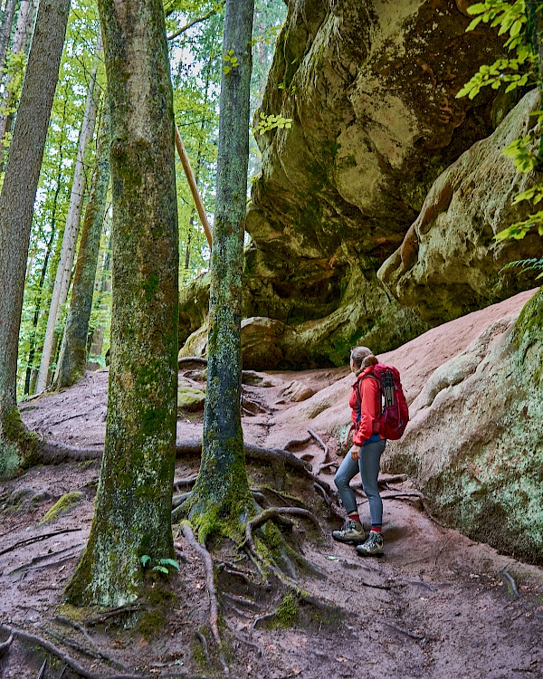 Hier gibt es jede Menge zu entdecken - die Schwarzachklamm im Nürnberger Land