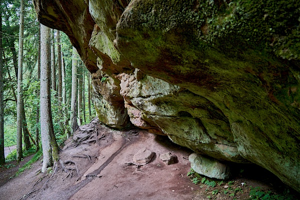 Felsen in der Schwarzachklamm