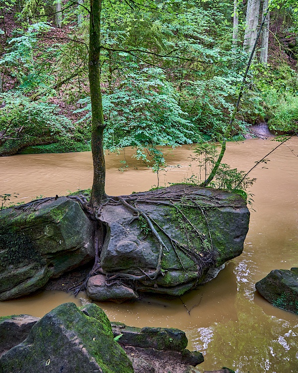 Unglaubliche Natur in der Schwarzachklamm