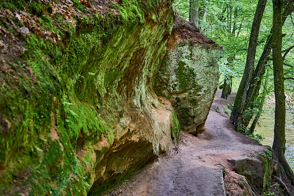 Beeindruckende Felsen in der Schwarzachklamm im Nürnberger Land