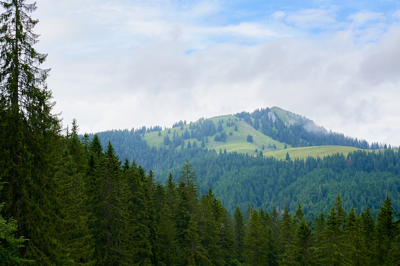 Blick auf den Fockenstein bei Lenggries