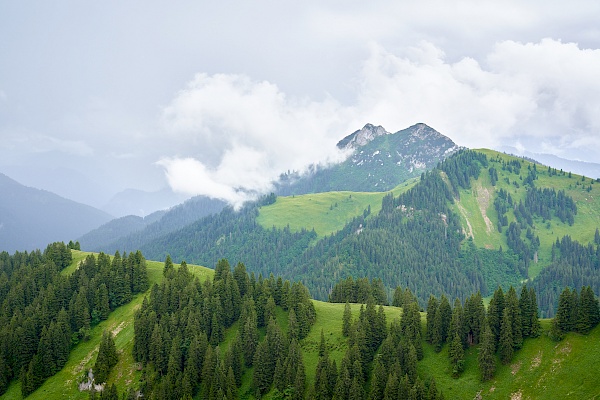 Blick Richtung Tegernseeer Hütte