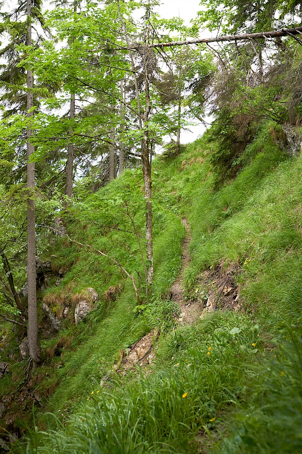 Pfad zum Grasleitenstein