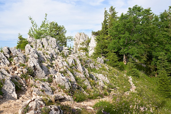 Geierstein bei Lenggries