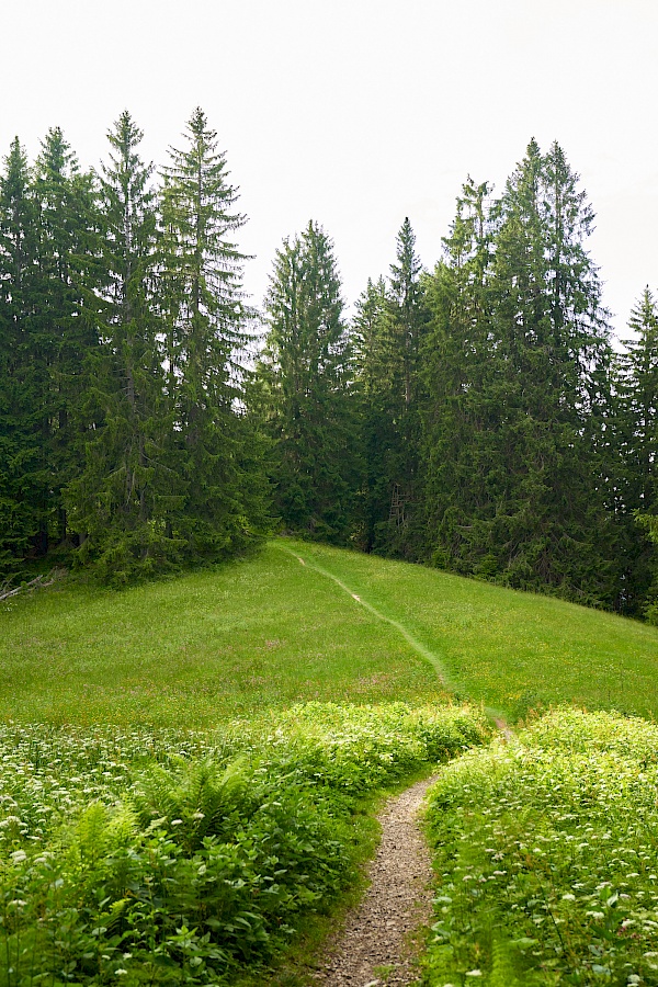 Auf dem Weg zur Denkalm