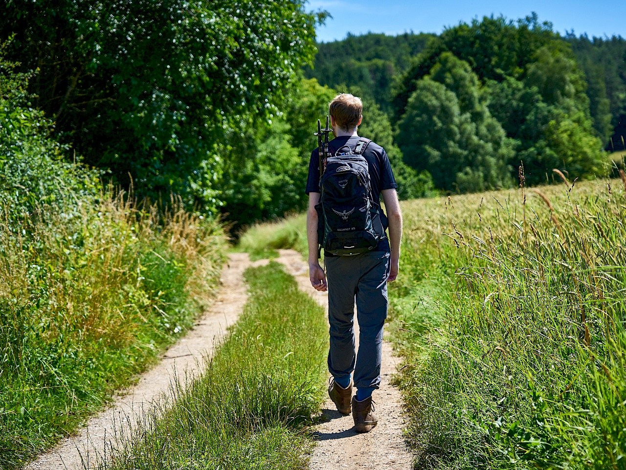 Wandern auf einem Feldweg