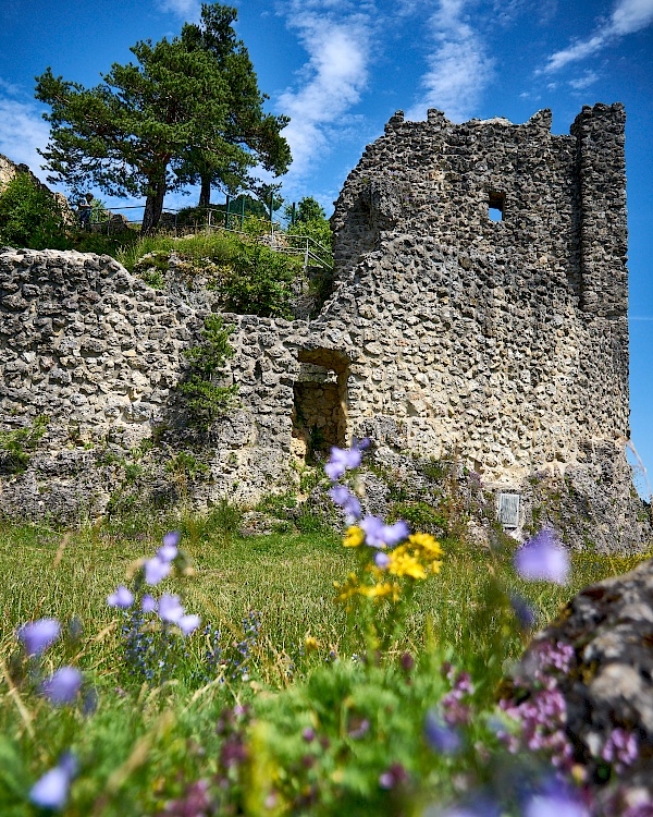 Burgruine Lichtenegg