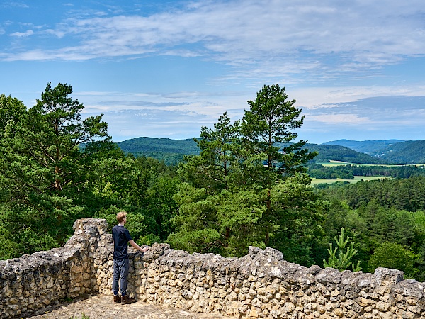 Aussicht von der Burgruine Lichtenegg