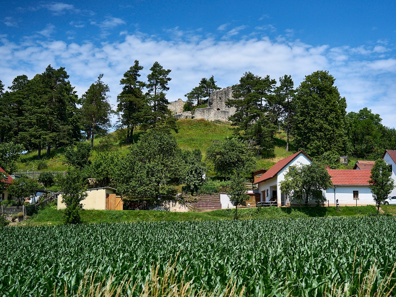 Die Burgruine Lichtenegg