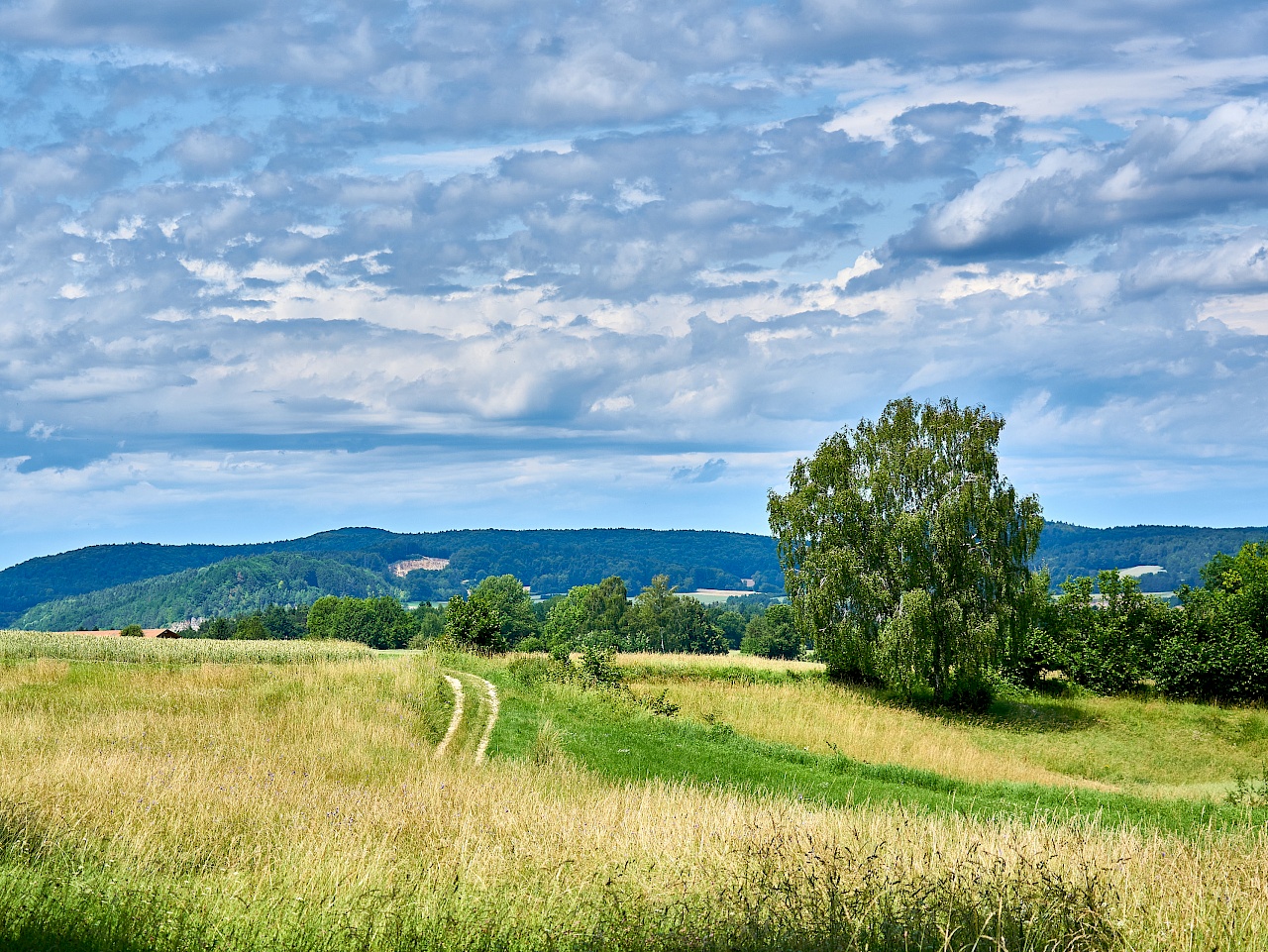 Wunderschöne Feldwege auf der Wanderung im Nürnberger Land