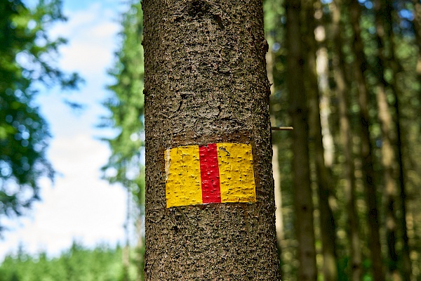 Wegweiser der Frankenalb Panoramawegs